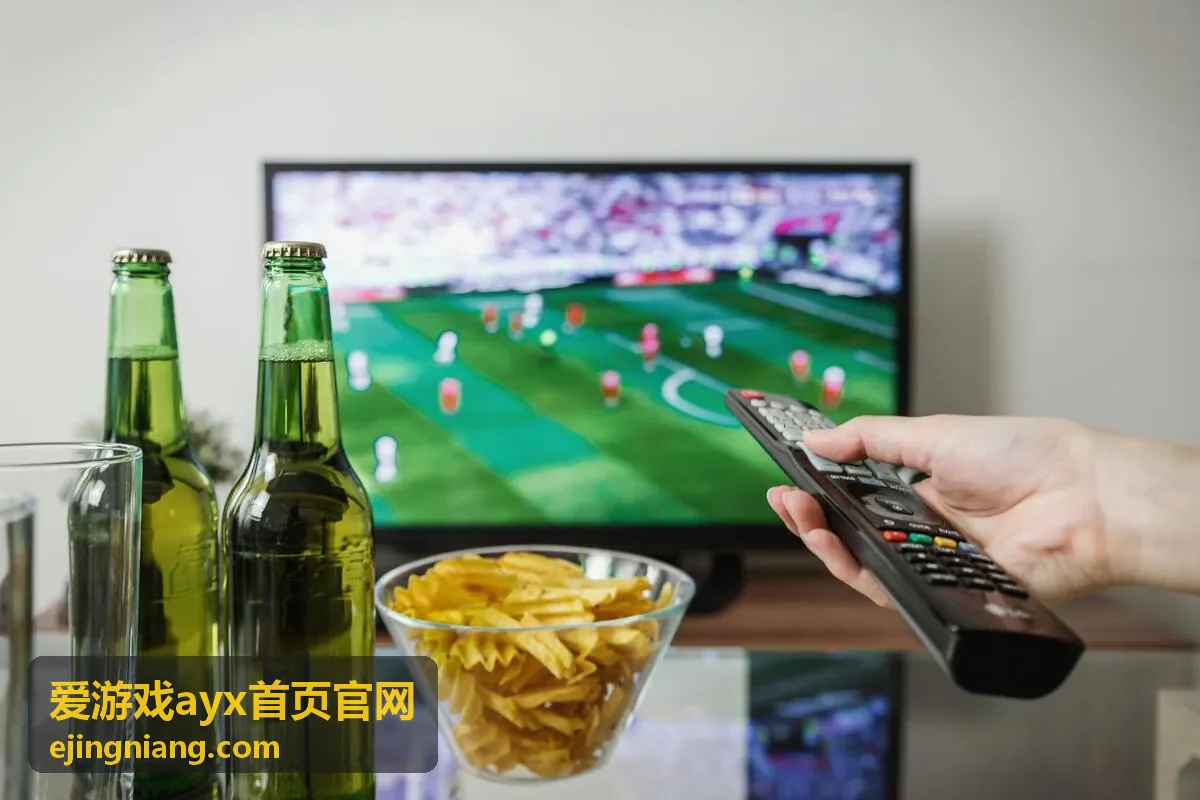 爱游戏ayx首页官网四类使用路径示意配图